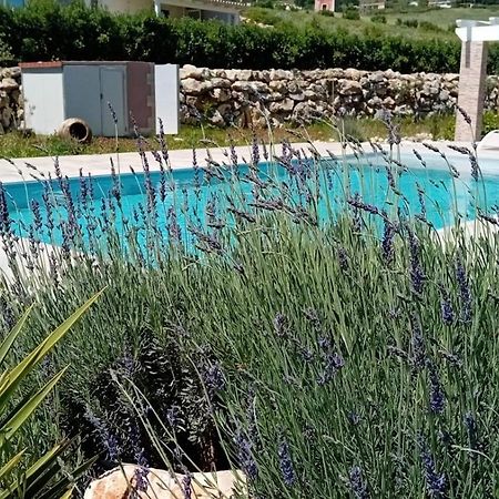 Villa Miro, Stupenda Villa Con Piscina Privata Castellammare del Golfo Eksteriør bilde